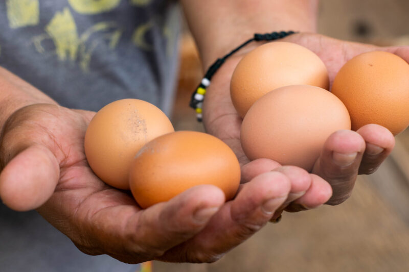 Mirna Cubías / WhatsApp: 7330 – 3034