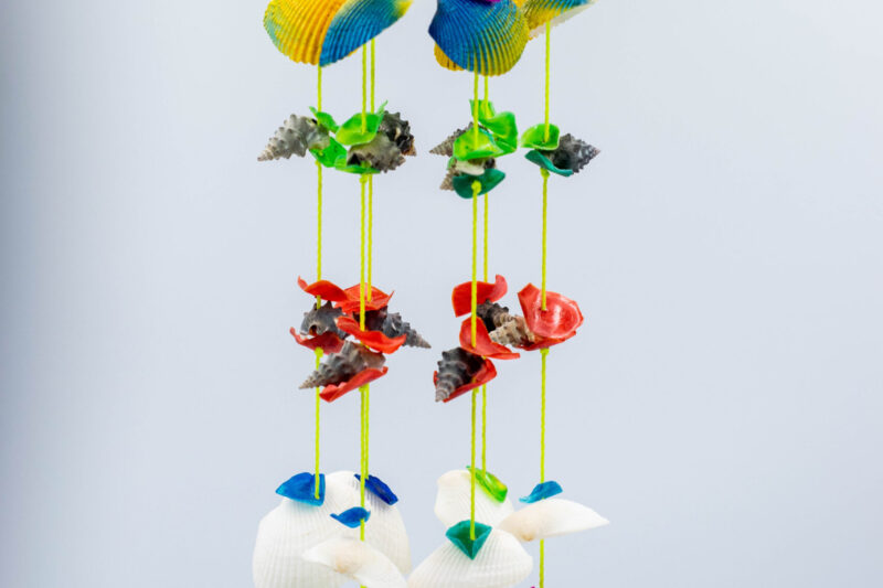 Maricela Alfaro / WhatsApp: 7363-7929