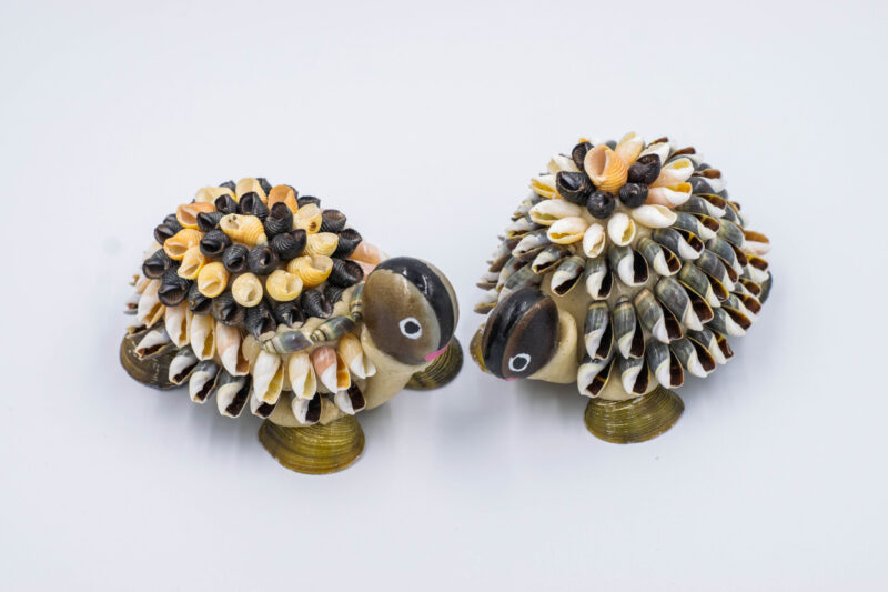 Ruth Menéndez / WhatsApp :  7330-3034